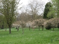 Headington Hill Park-View